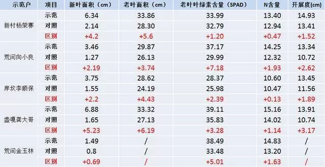 移栽后烟草不长、黄叶？数据给您答案(图12)