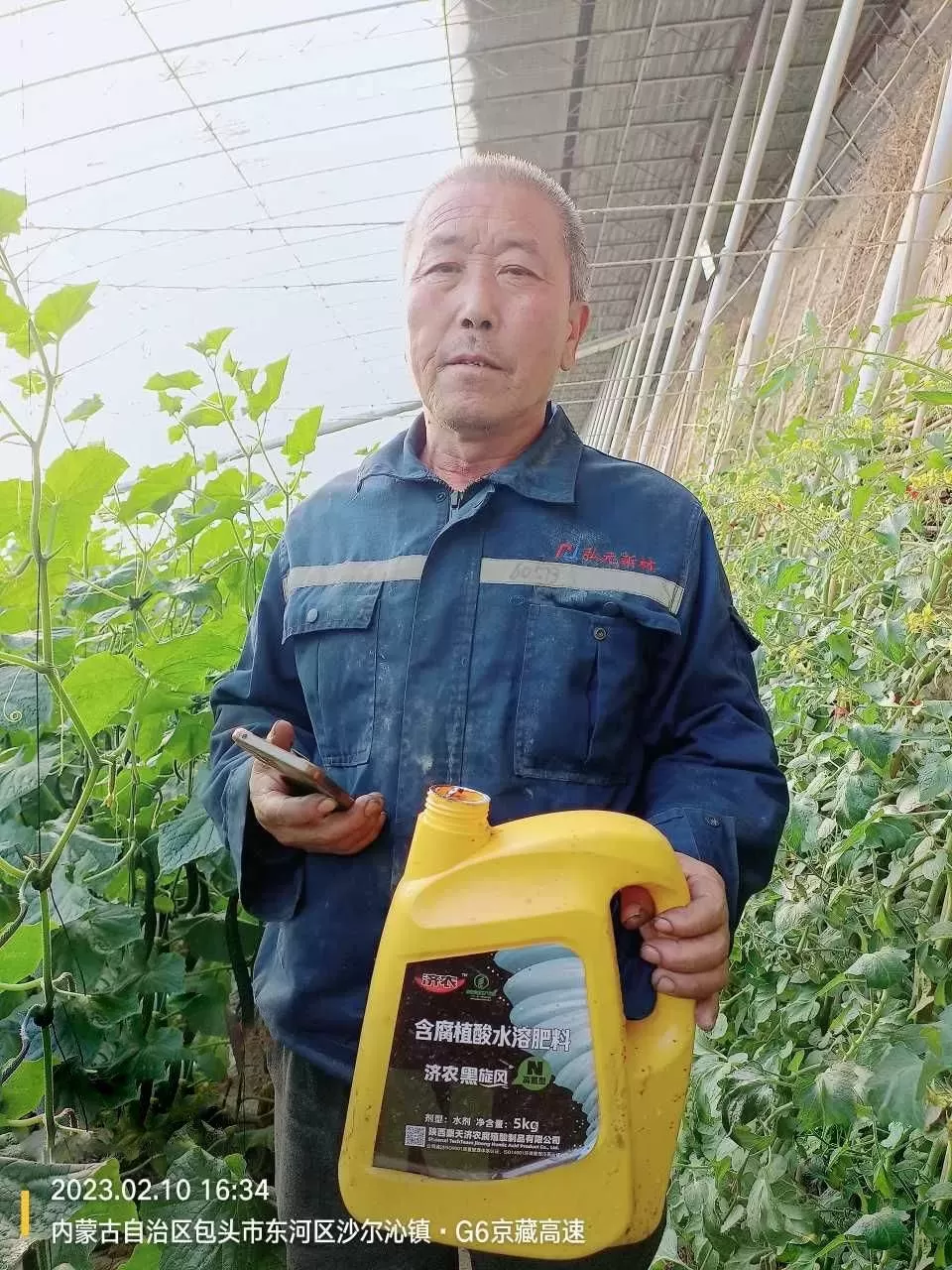 初瓜期黄瓜叶片皱缩节间短？济农黑旋风调长势，青枝绿叶结好瓜(图2)