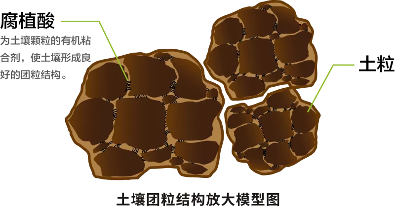 济农腐植酸助力河南小麦每亩增产近30%(图6)