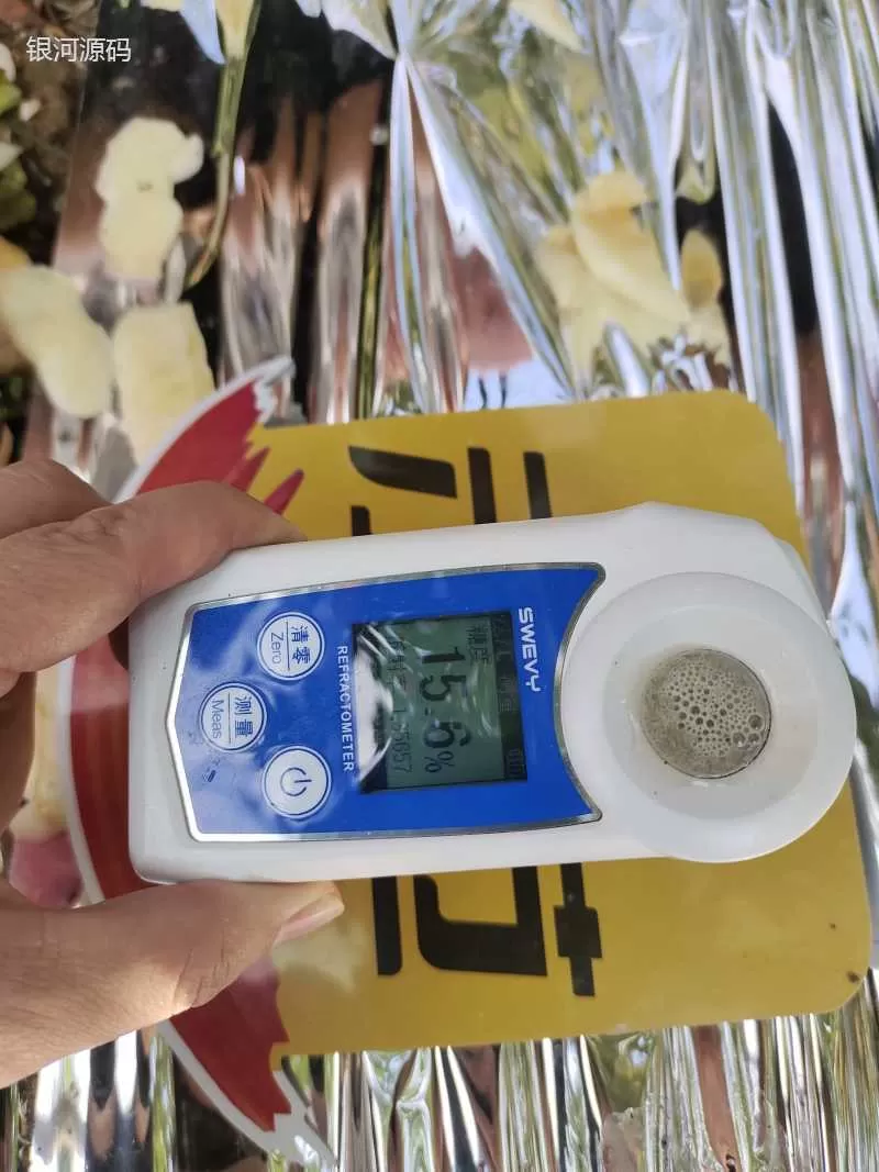 The Effect of Using Jinong Letu for Striped Apples in Yantai, Shandong Province(图7) The Effect of Using Jinong Letu for Striped Apples in Yantai, Shandong Province(图7)