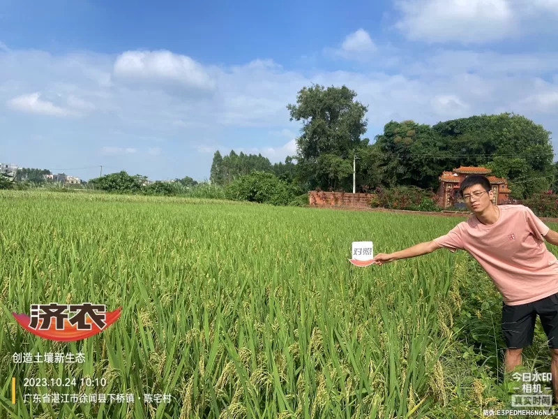 The effect of using agricultural products in Guangdong rice(图4) The effect of using agricultural products in Guangdong rice(图4)