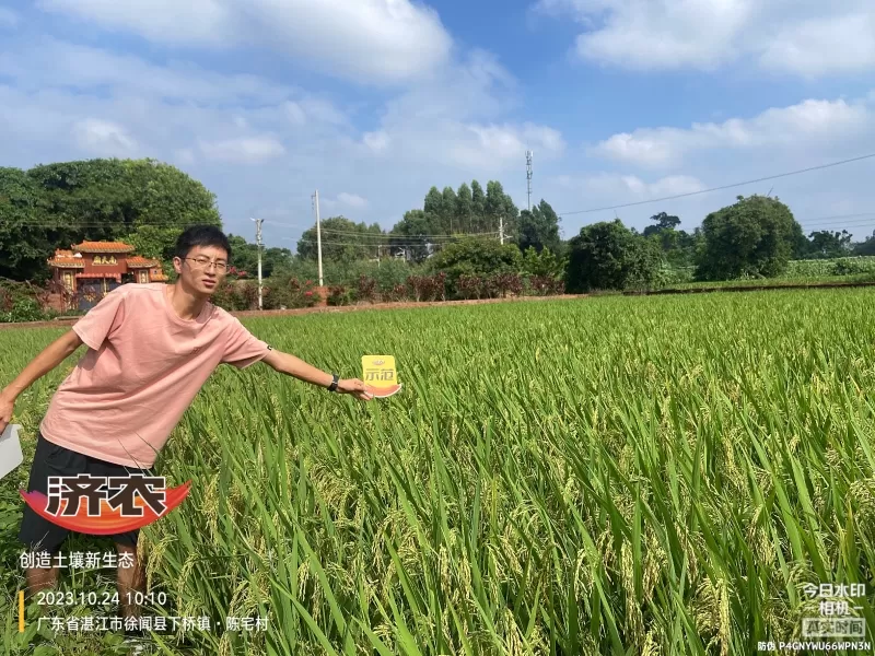 The effect of using agricultural products in Guangdong rice(图3) The effect of using agricultural products in Guangdong rice(图3)