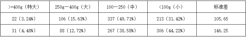 多用1公斤济农乐土 新疆马铃薯亩产超5吨(图5)