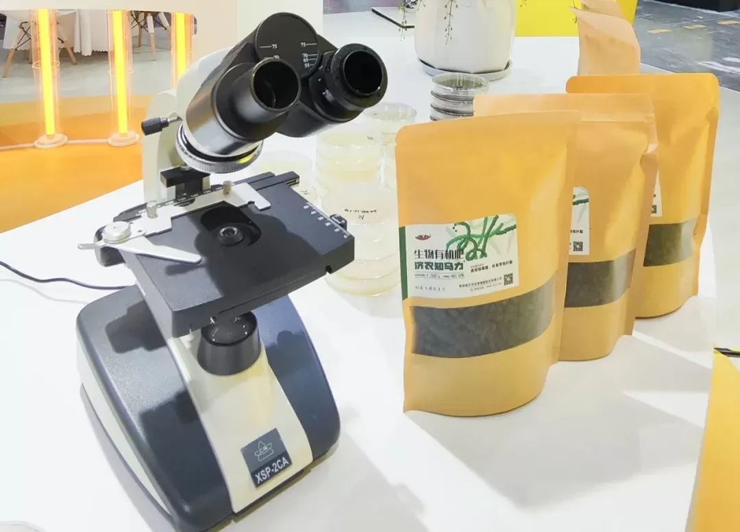 苗期定乾坤:济农知马力让元胡"赢在起跑线"(图6) 苗期定乾坤:济农知马力让元胡"赢在起跑线"(图6)