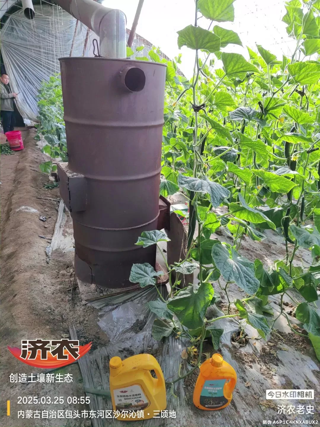 病病殃殃毫无生机,鼎天济农妙手回春(图11) 病病殃殃毫无生机,鼎天济农妙手回春(图11)